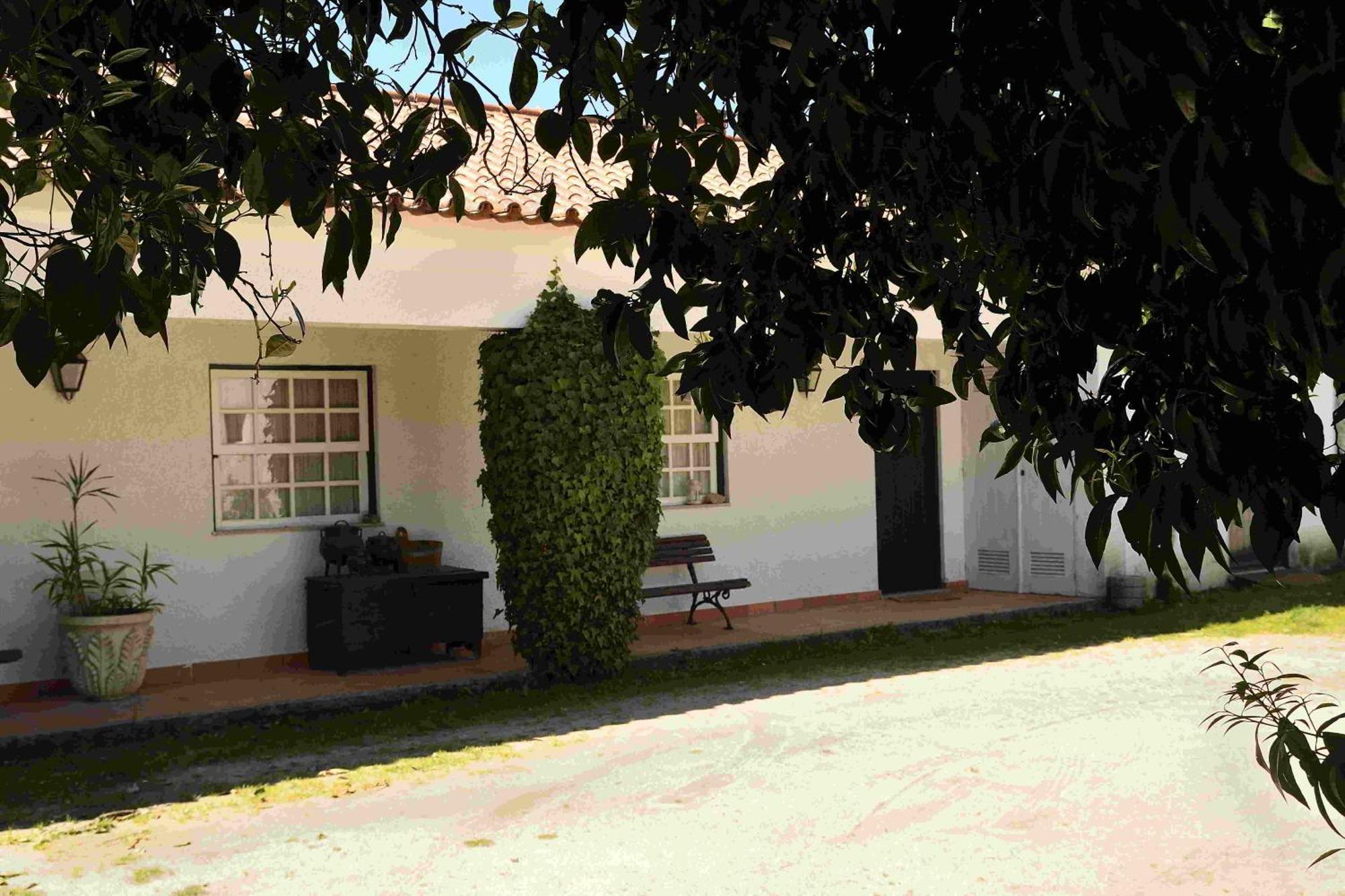 넬라스 Quinta Da Fata 빌라 외부 사진