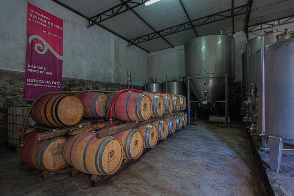 넬라스 Quinta Da Fata 빌라 외부 사진